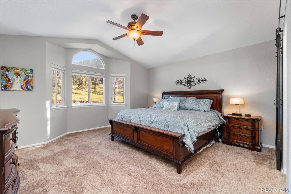 MLS Image #13 for 24005  high meadow drive,golden, Colorado