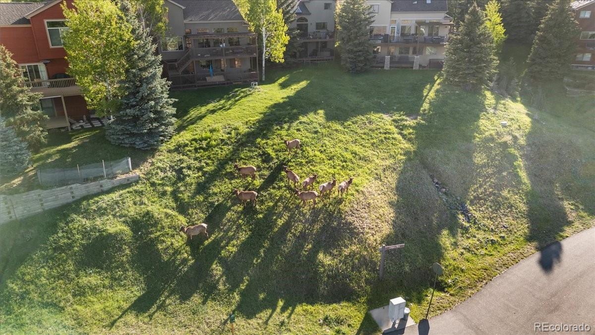 MLS Image #5 for 24005  high meadow drive,golden, Colorado