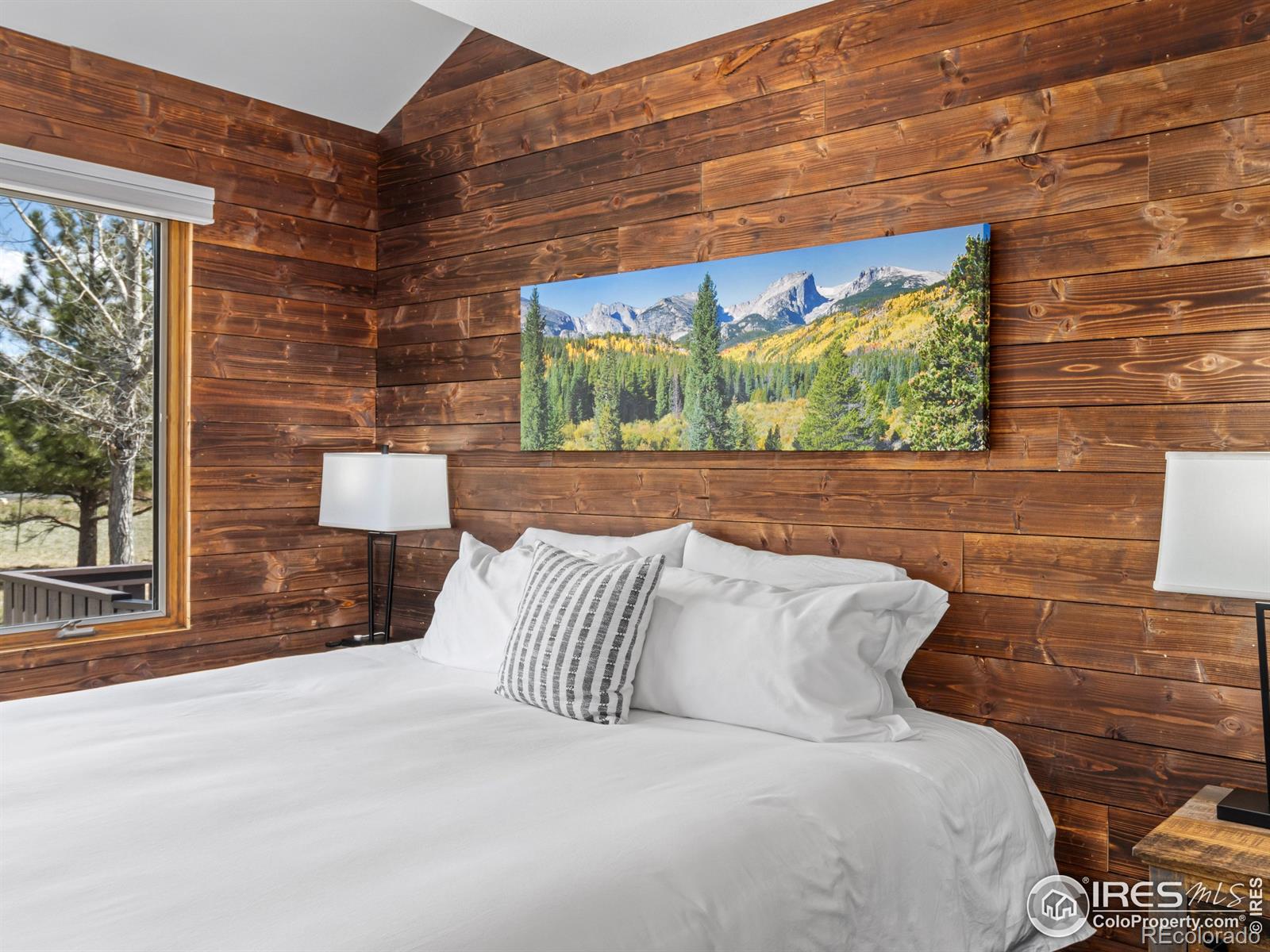 MLS Image #27 for 1437  raven circle,estes park, Colorado