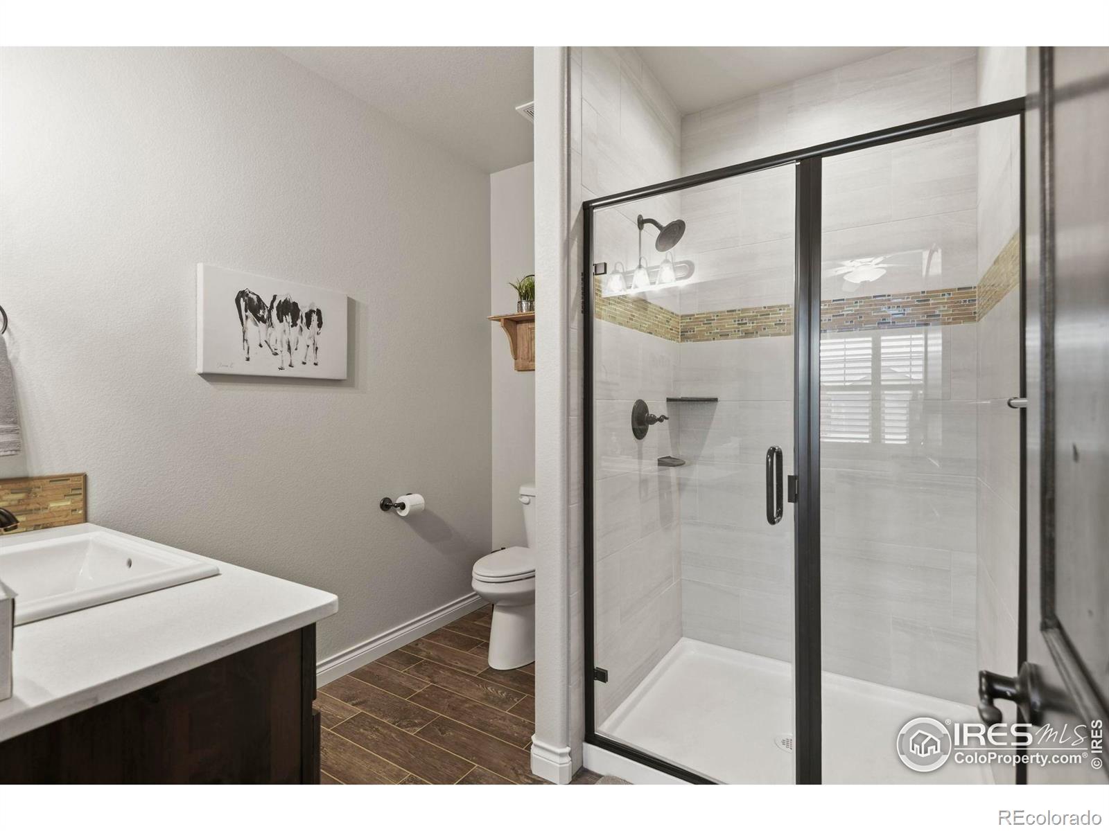 MLS Image #20 for 3804  angora drive,loveland, Colorado