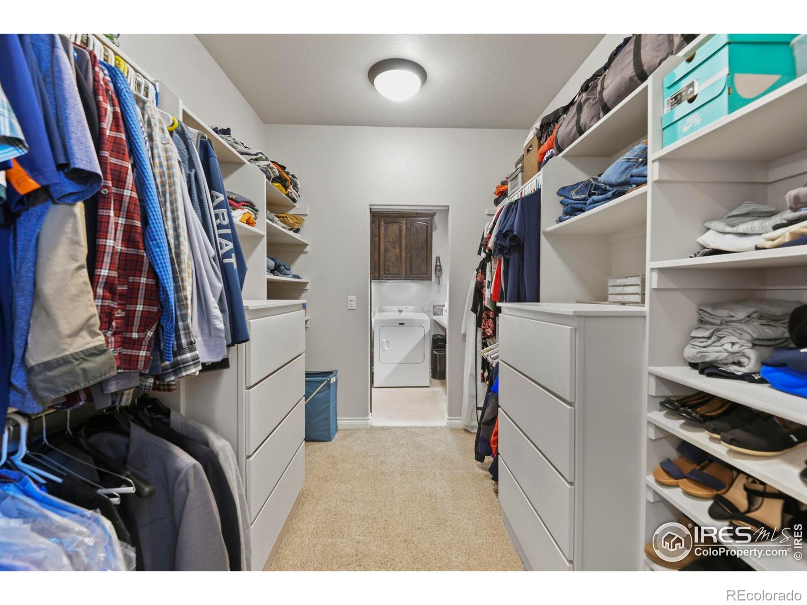 MLS Image #26 for 3804  angora drive,loveland, Colorado