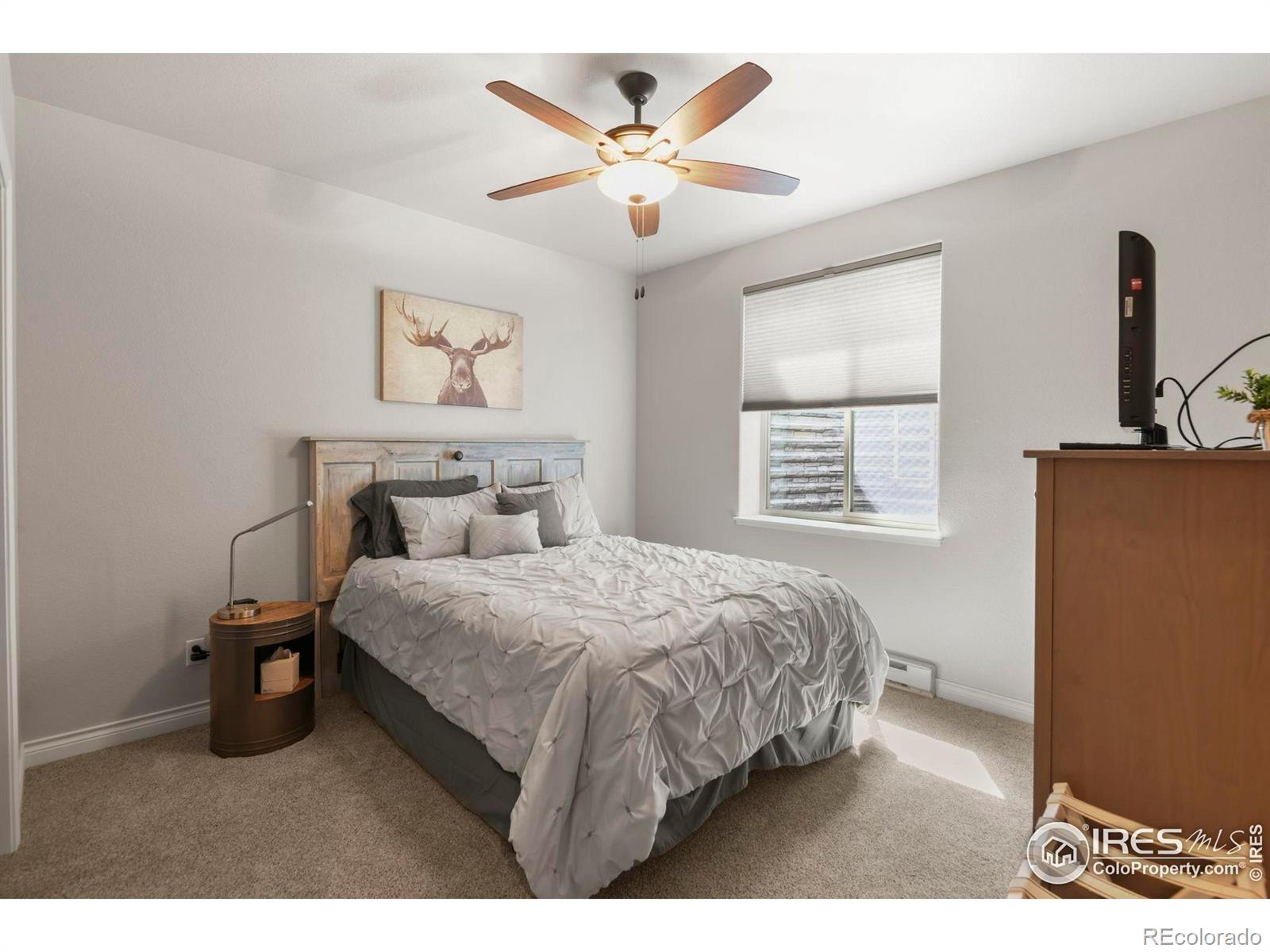 MLS Image #33 for 3804  angora drive,loveland, Colorado
