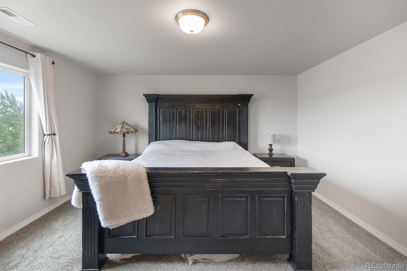MLS Image #6 for 4362  prairie agate drive,colorado springs, Colorado