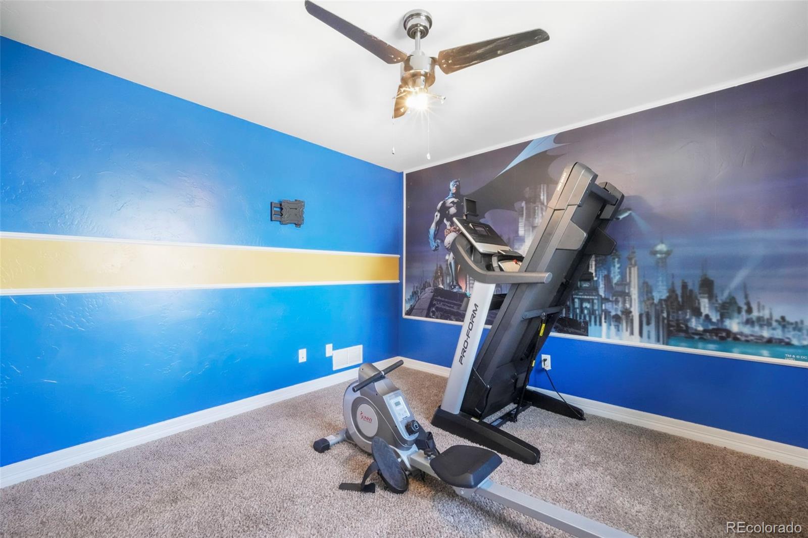 MLS Image #31 for 10525  mt sherman way,peyton, Colorado