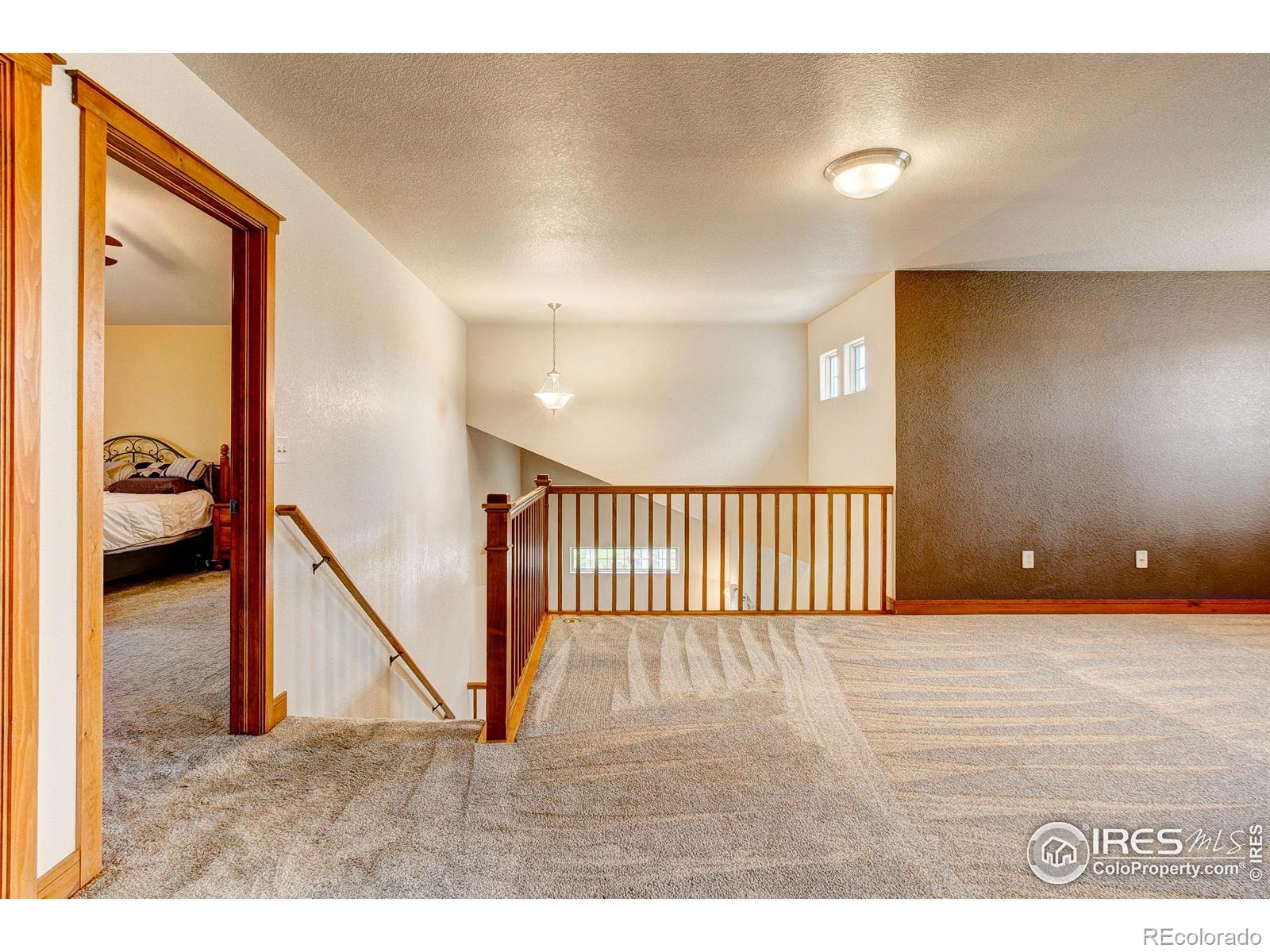 MLS Image #19 for 1414  sheep creek court,fort collins, Colorado