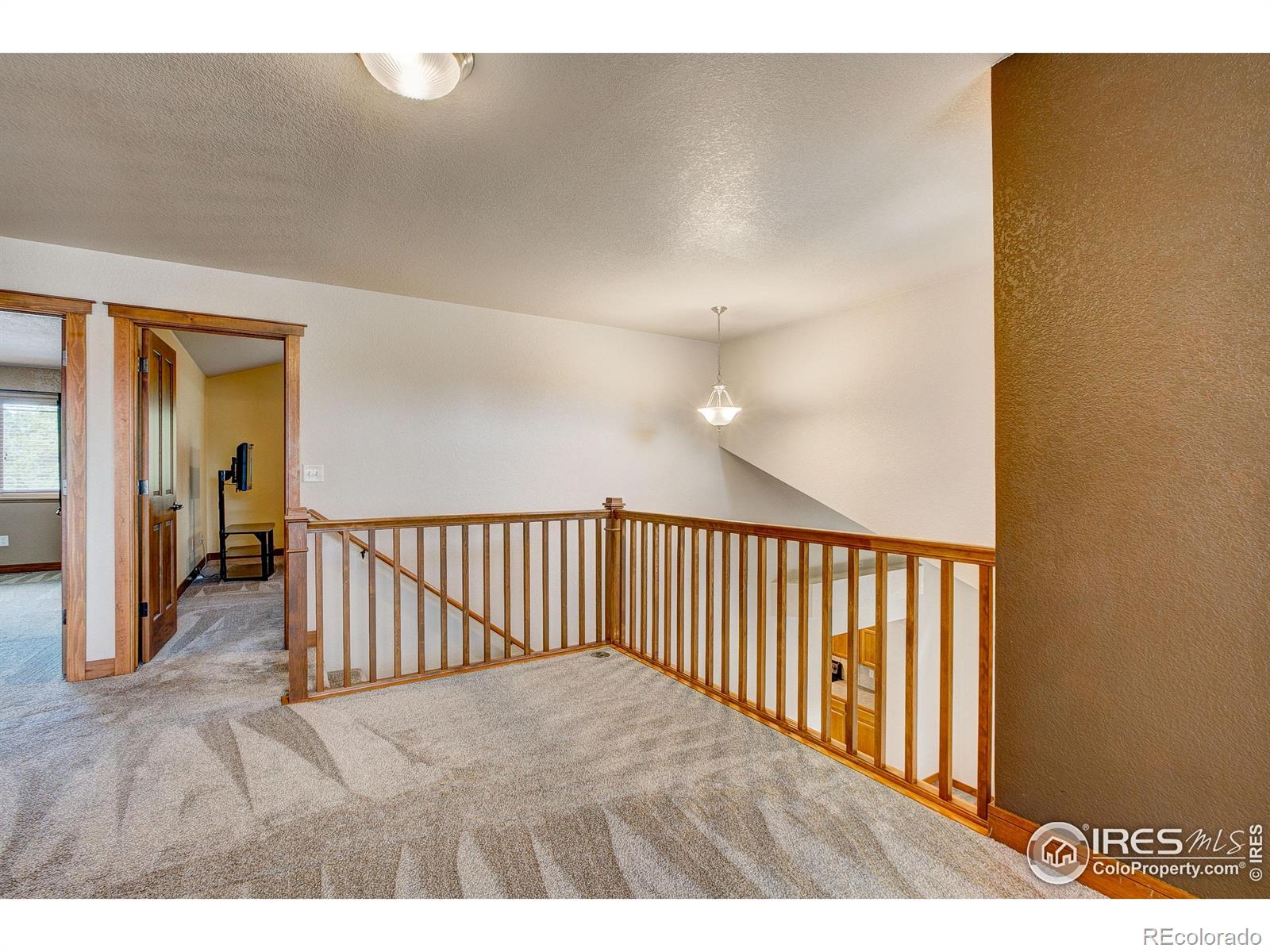 MLS Image #20 for 1414  sheep creek court,fort collins, Colorado