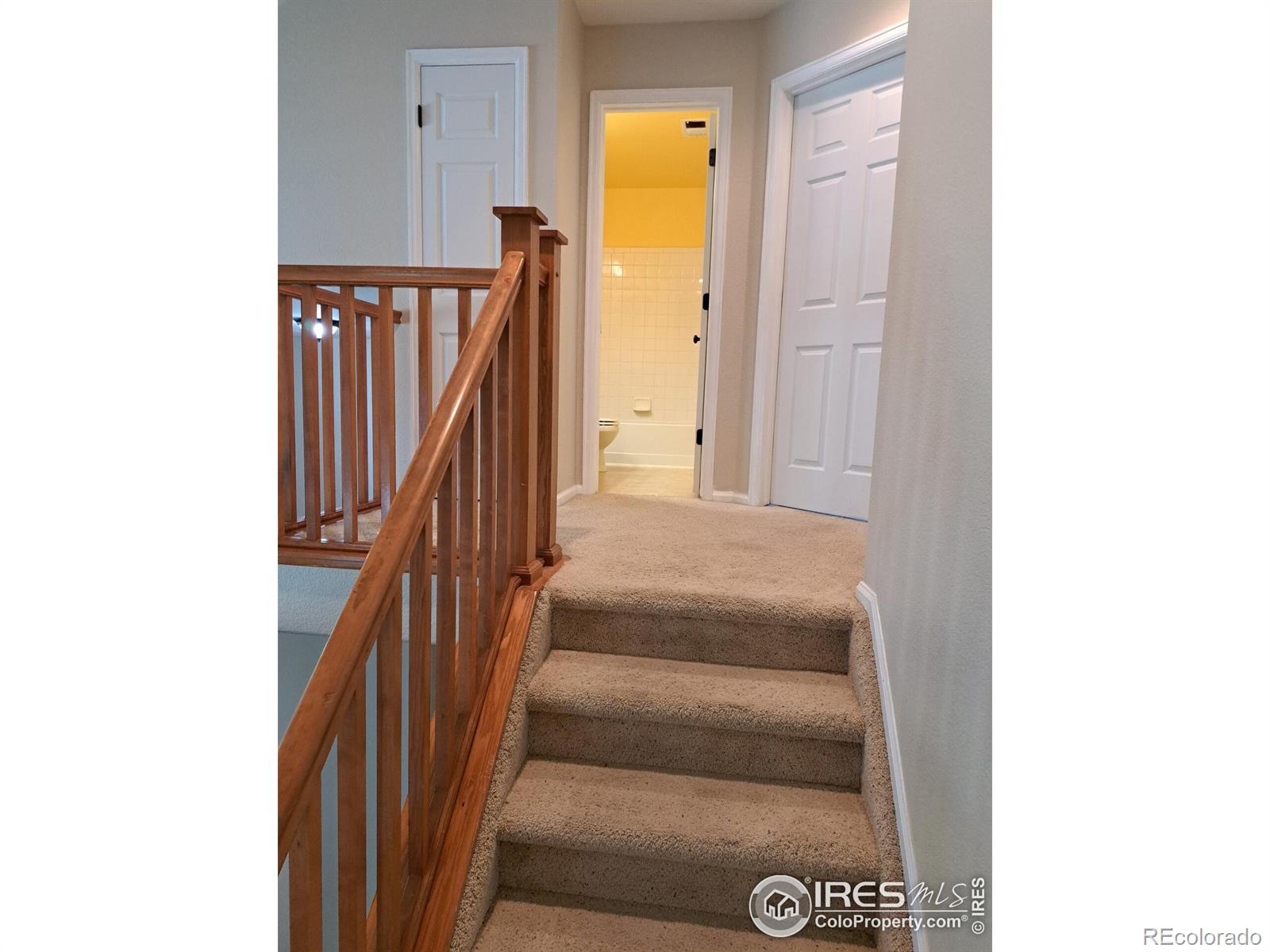 MLS Image #17 for 6609  desert willow way,fort collins, Colorado