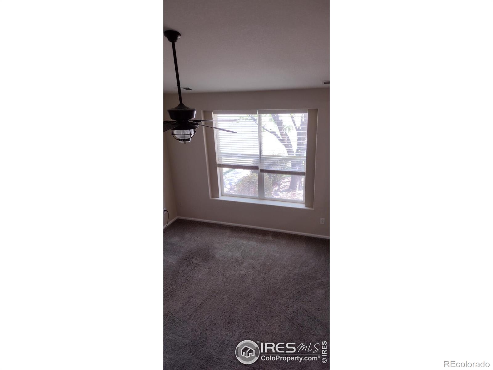 MLS Image #18 for 6609  desert willow way,fort collins, Colorado