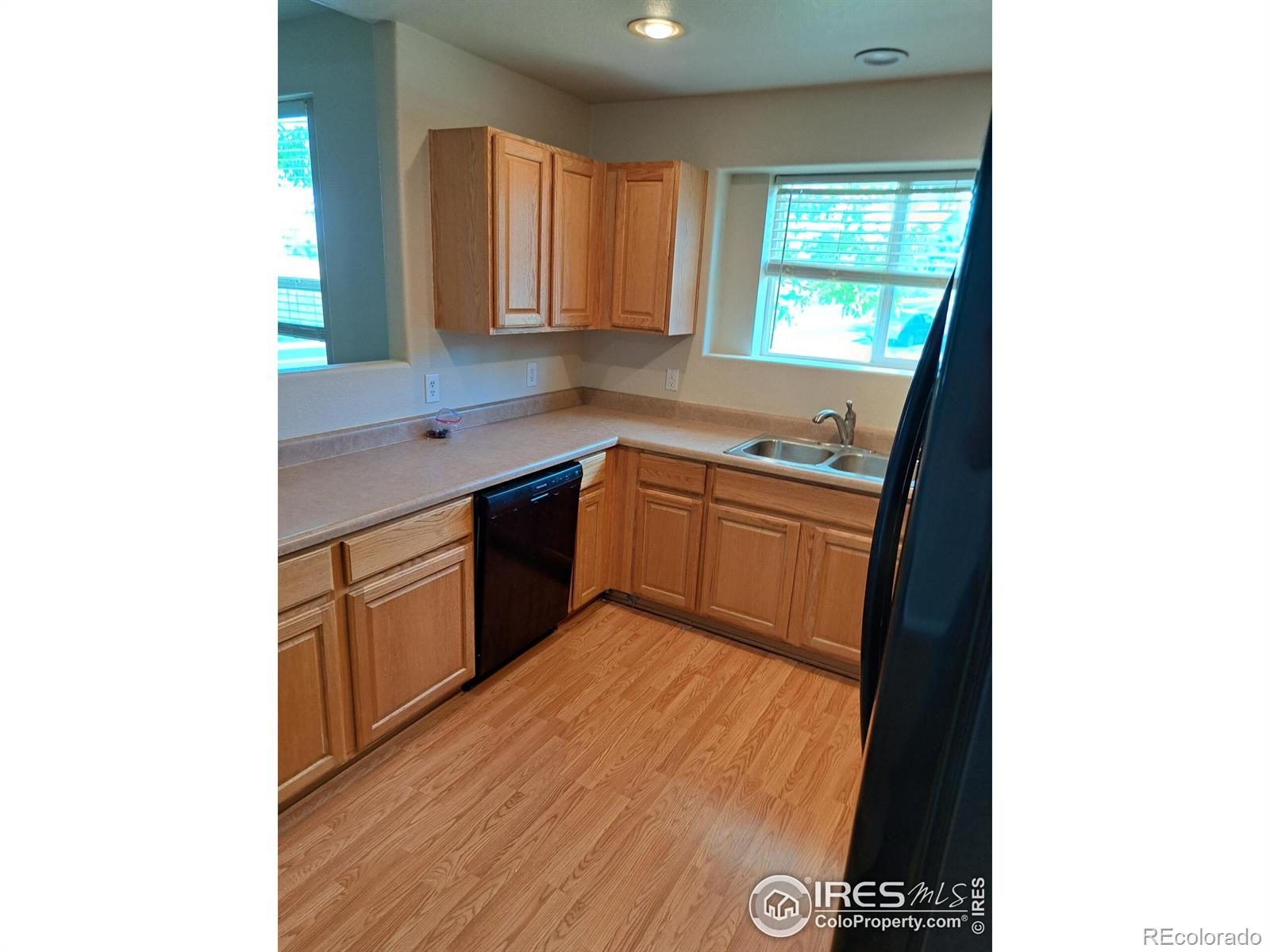 MLS Image #6 for 6609  desert willow way,fort collins, Colorado