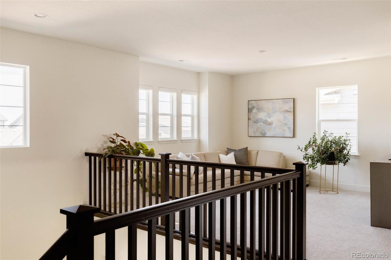 MLS Image #19 for 6506  barnstead drive,castle pines, Colorado