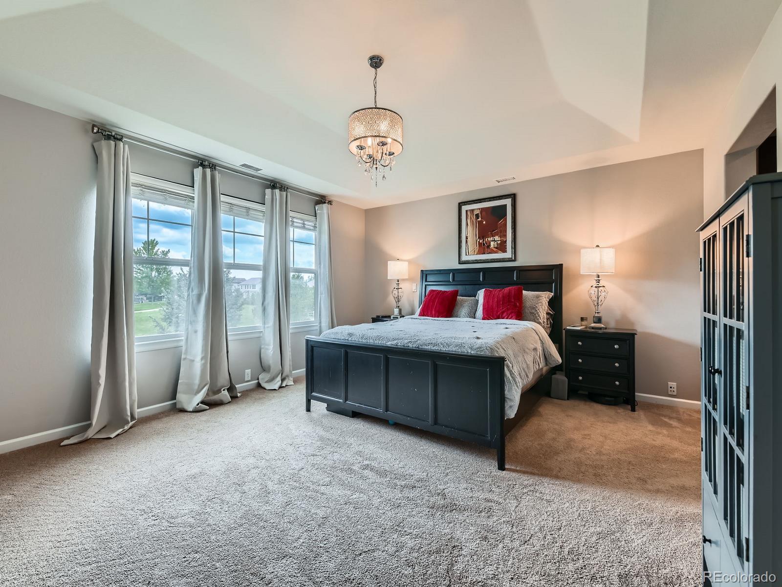 MLS Image #20 for 2896  gemini loop,broomfield, Colorado