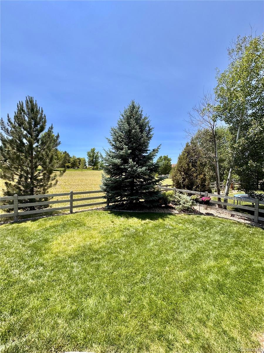 MLS Image #45 for 2896  gemini loop,broomfield, Colorado
