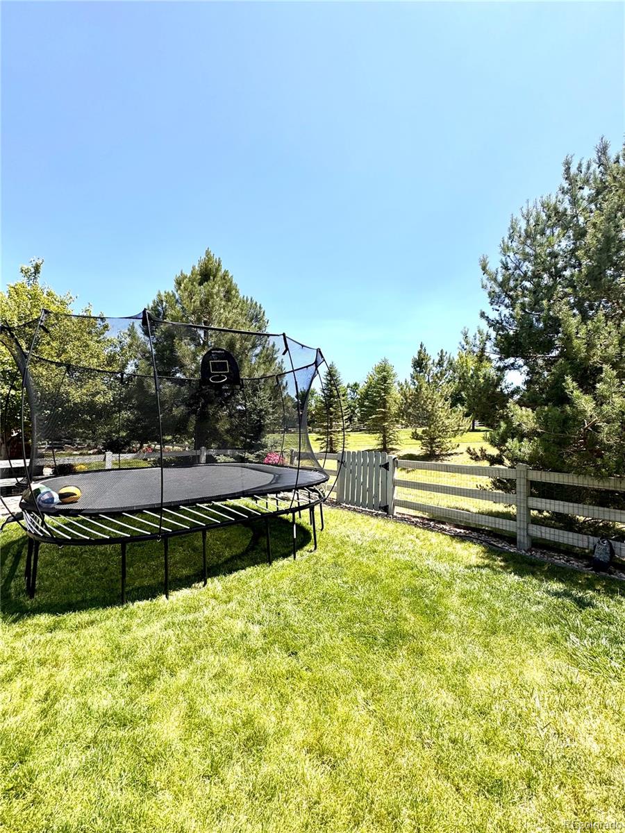 MLS Image #46 for 2896  gemini loop,broomfield, Colorado