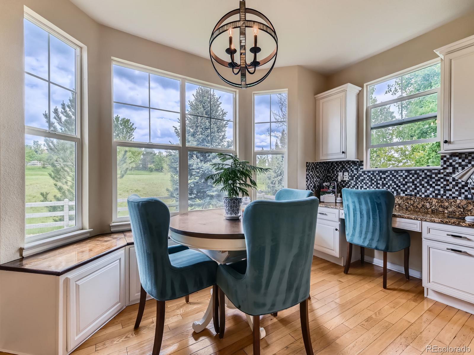 MLS Image #5 for 2896  gemini loop,broomfield, Colorado