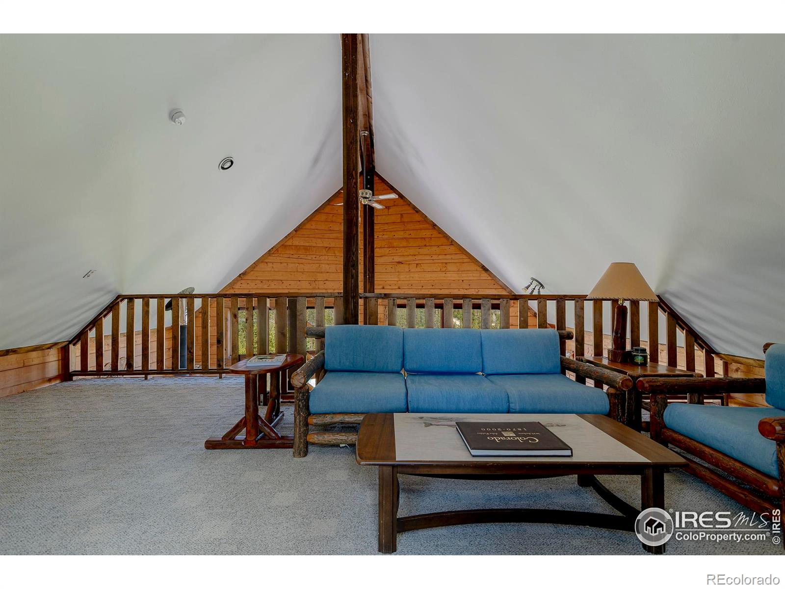 MLS Image #20 for 47  county road 471 ,grand lake, Colorado