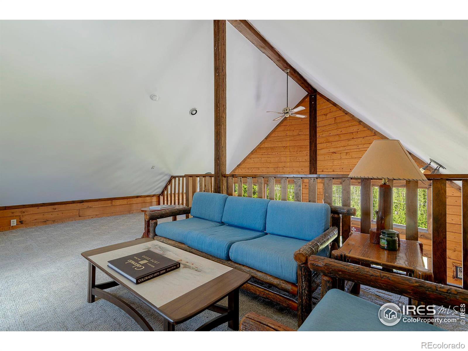 MLS Image #21 for 47  county road 471 ,grand lake, Colorado