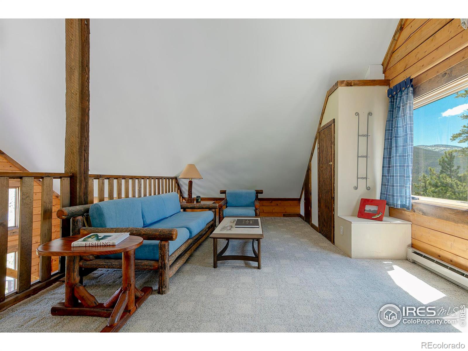 MLS Image #22 for 47  county road 471 ,grand lake, Colorado