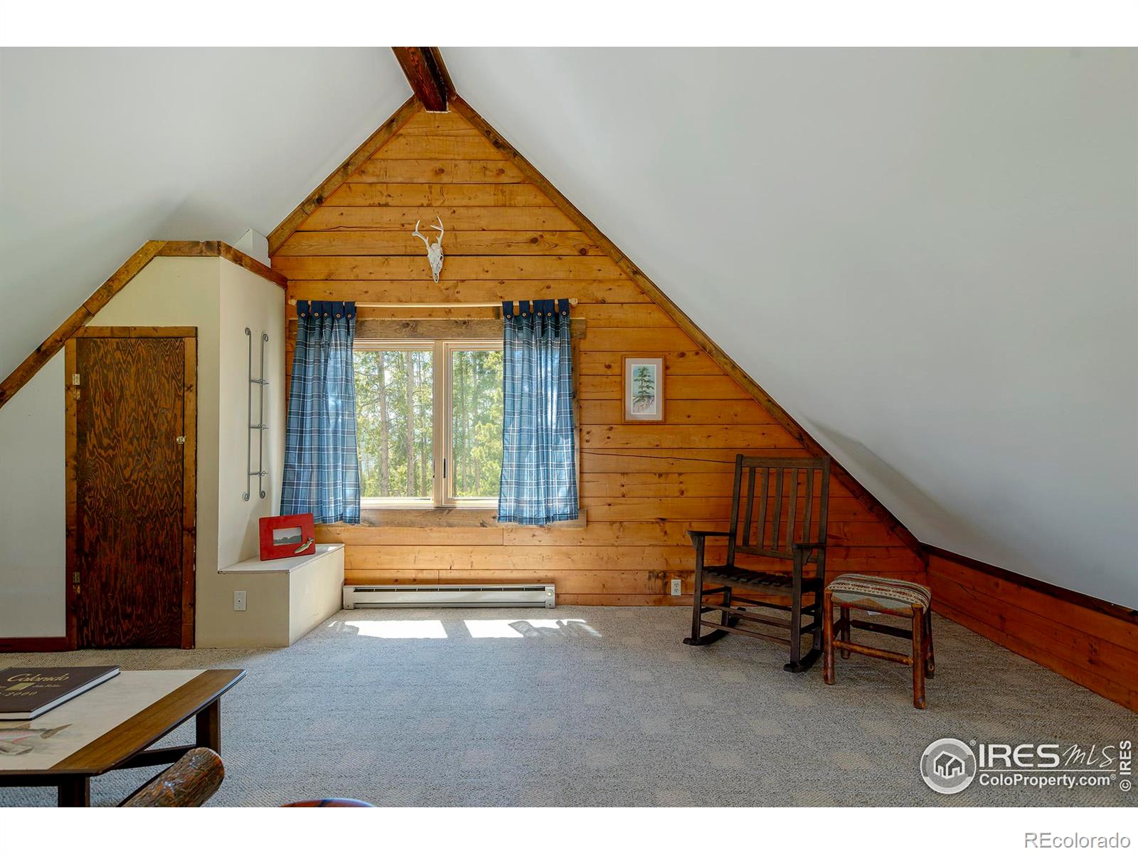 MLS Image #23 for 47  county road 471 ,grand lake, Colorado