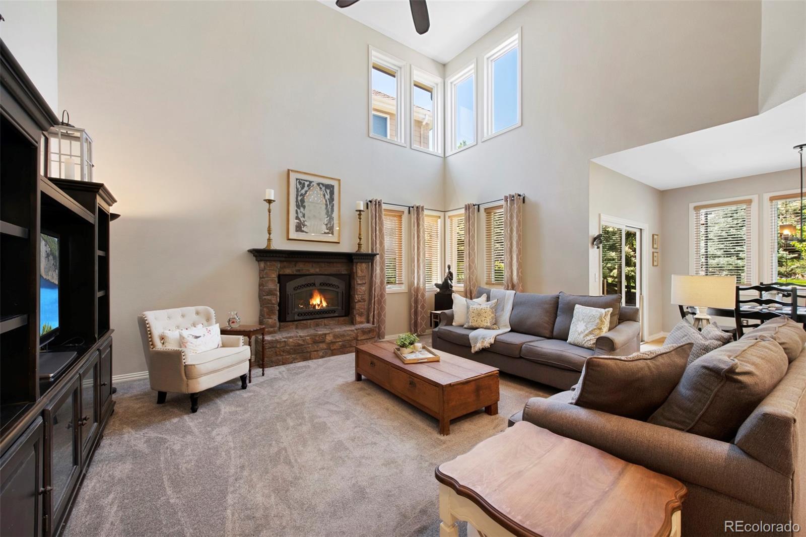 MLS Image #16 for 85  willowleaf drive,littleton, Colorado