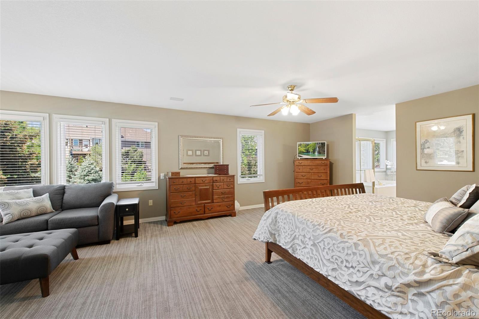 MLS Image #22 for 85  willowleaf drive,littleton, Colorado