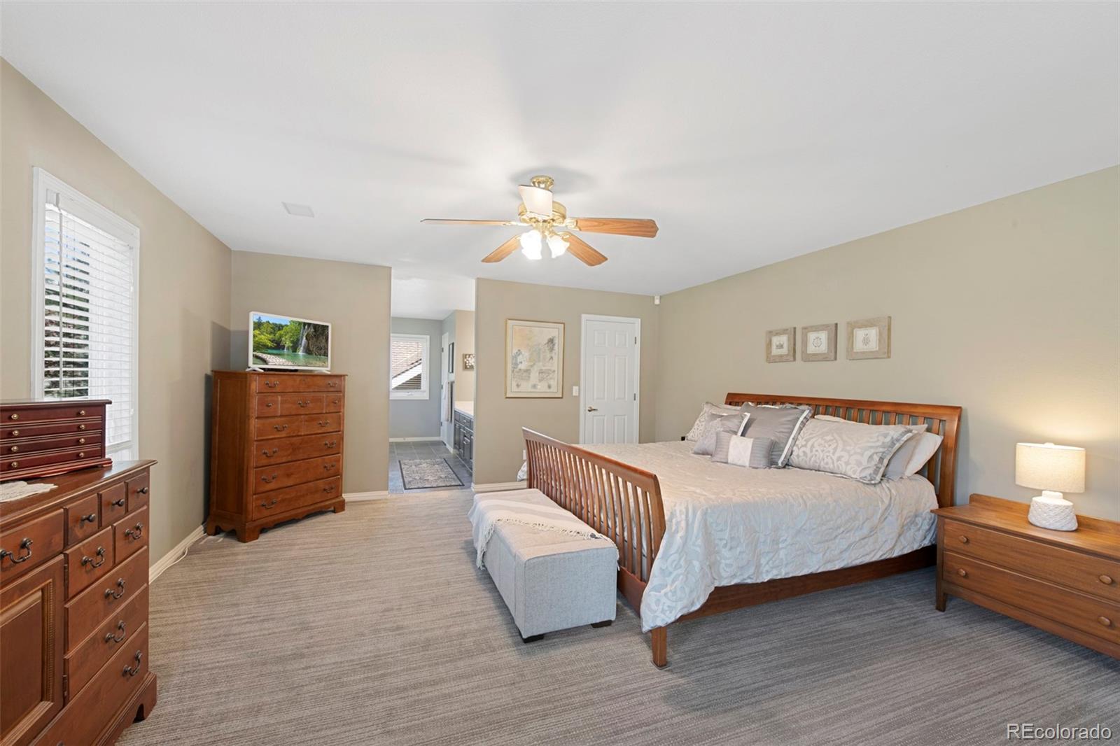 MLS Image #26 for 85  willowleaf drive,littleton, Colorado