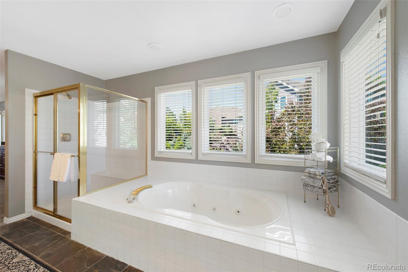 MLS Image #28 for 85  willowleaf drive,littleton, Colorado