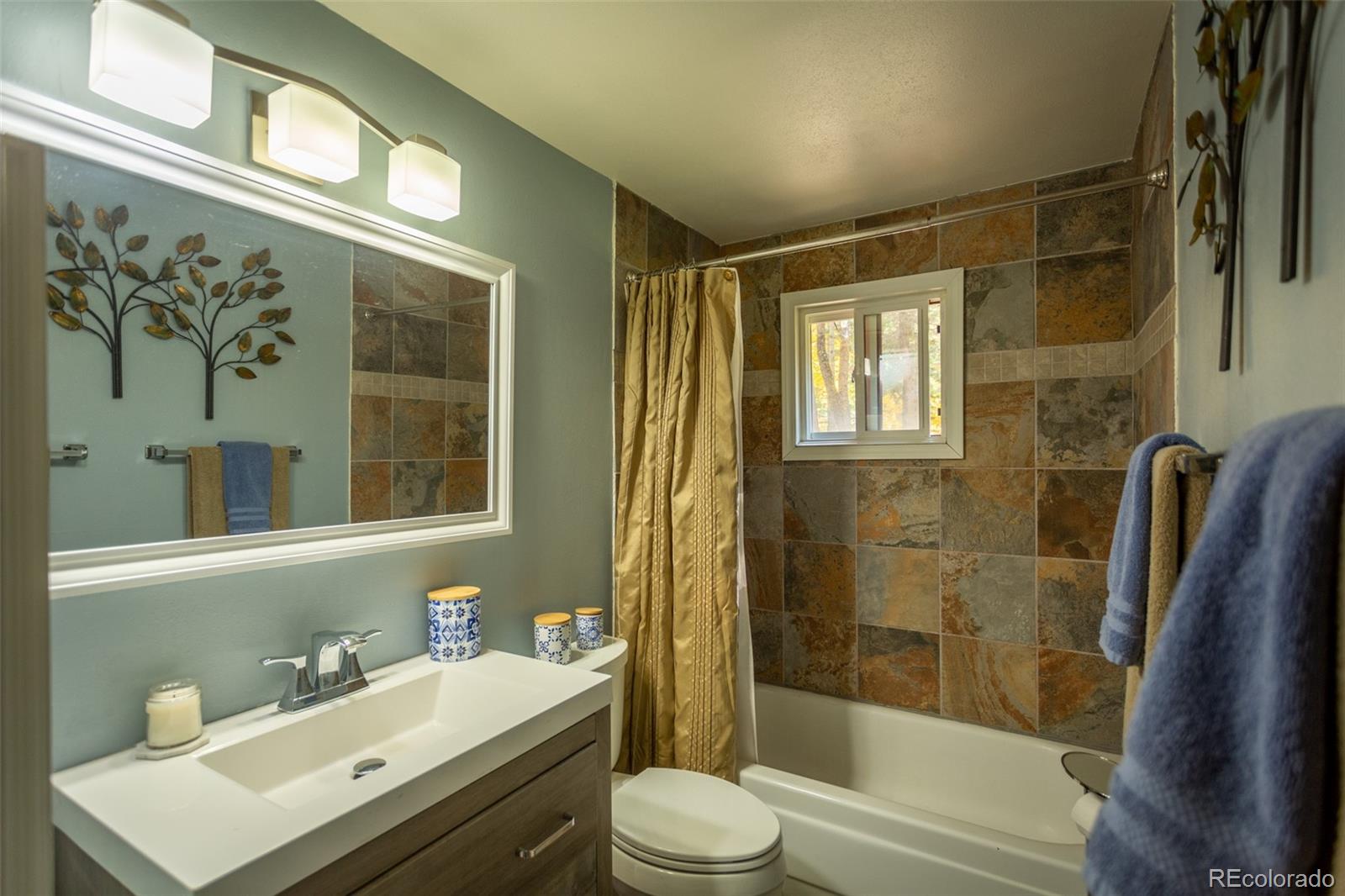 MLS Image #22 for 4745  forest lane,howard, Colorado