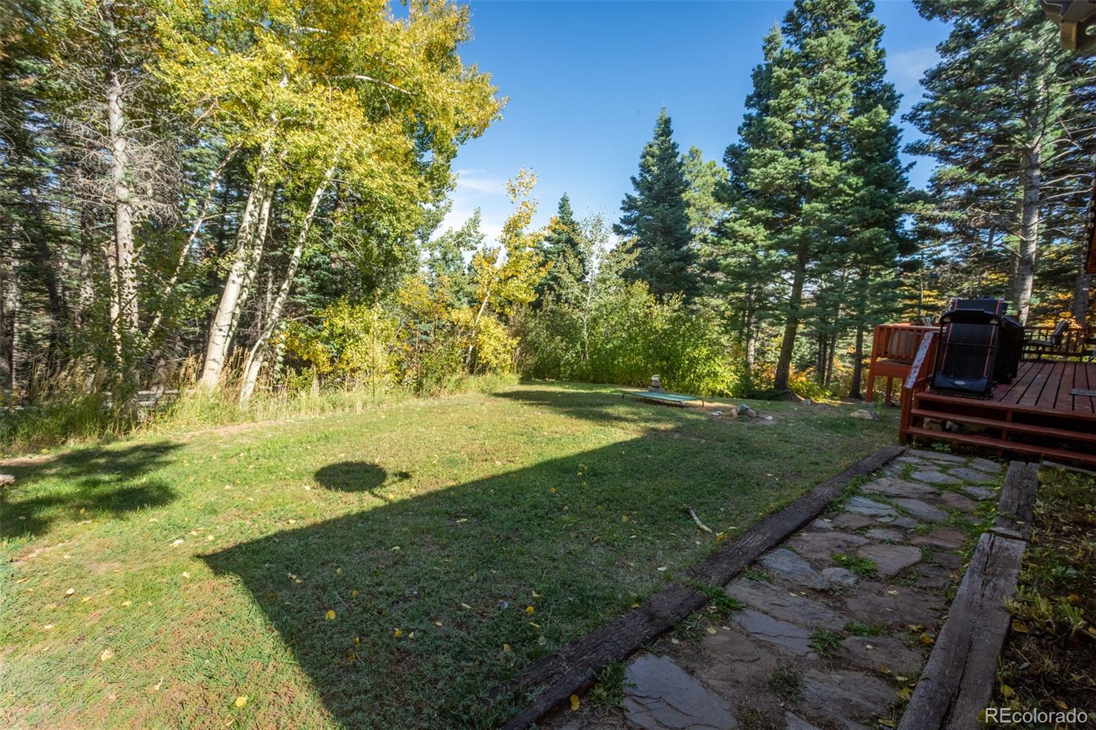 MLS Image #28 for 4745  forest lane,howard, Colorado