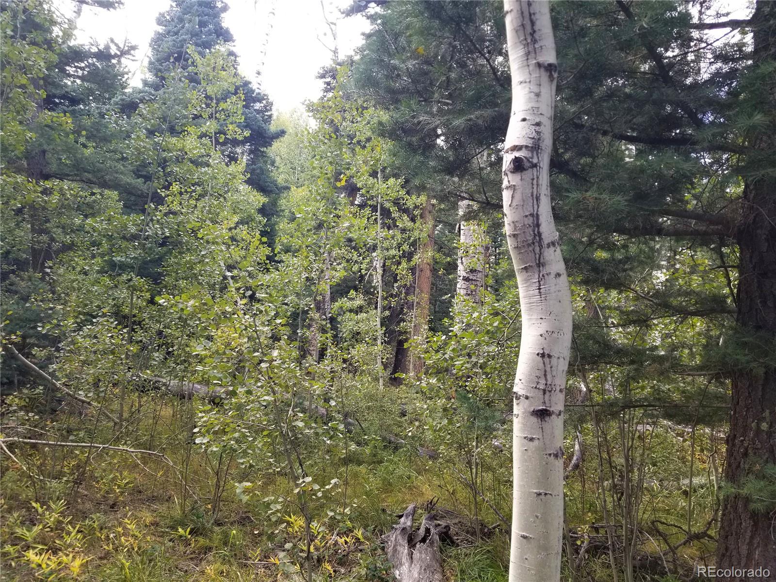 MLS Image #33 for 4745  forest lane,howard, Colorado