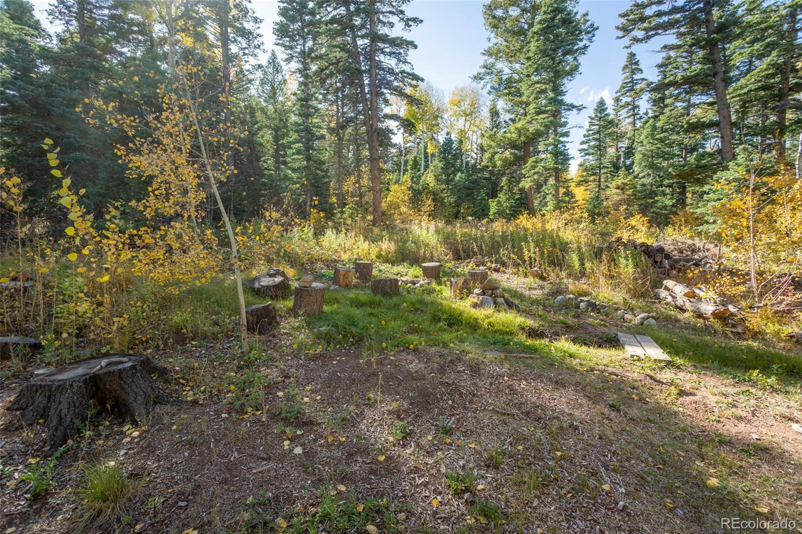 MLS Image #34 for 4745  forest lane,howard, Colorado