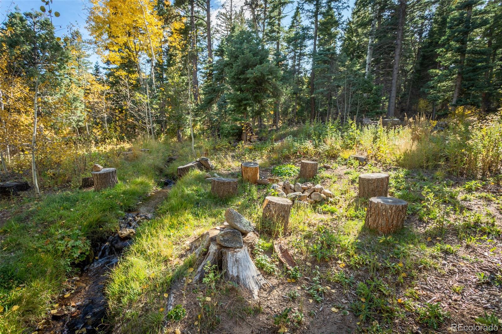 MLS Image #38 for 4745  forest lane,howard, Colorado