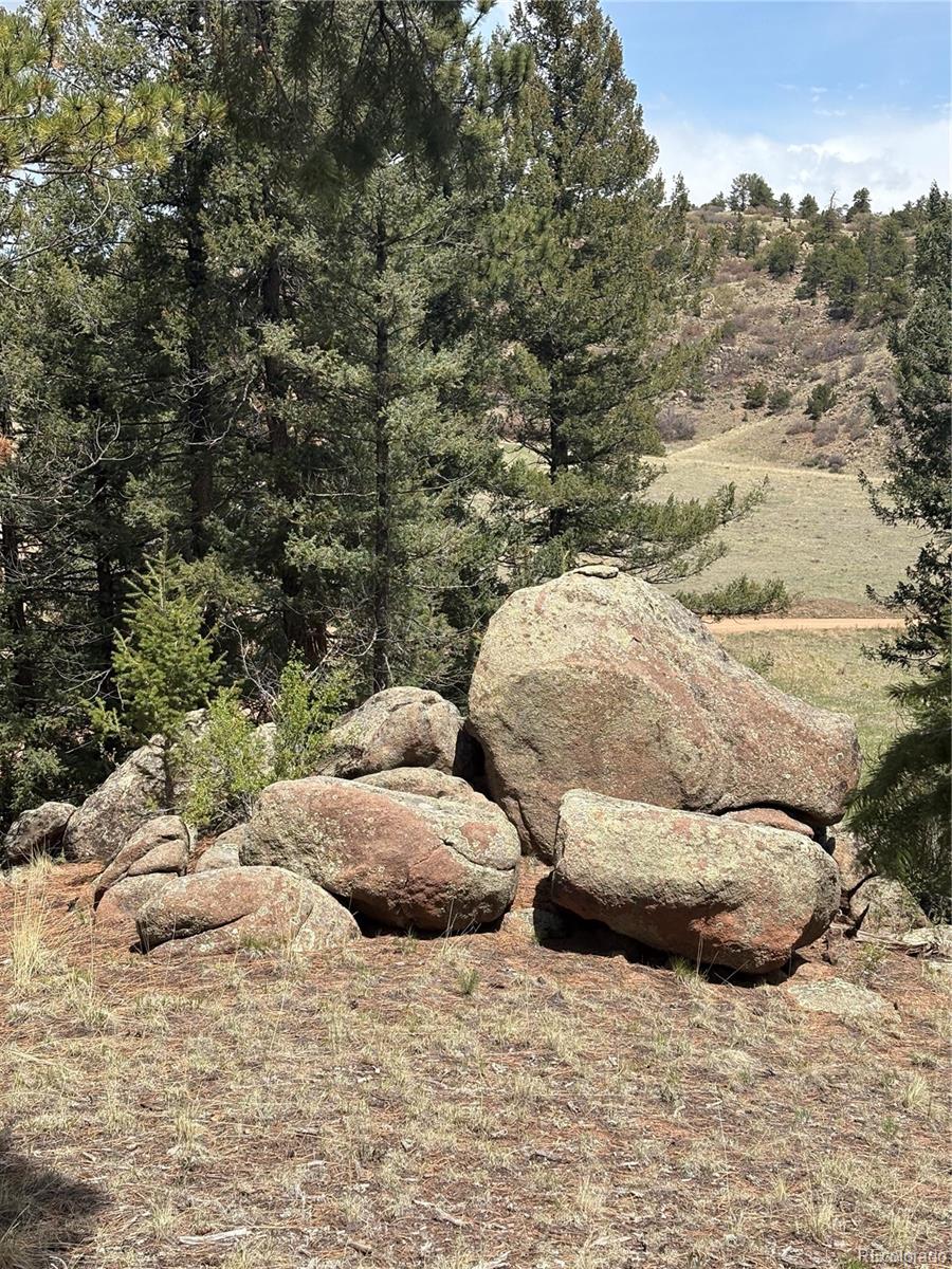 MLS Image #29 for 14  apache road,florissant, Colorado