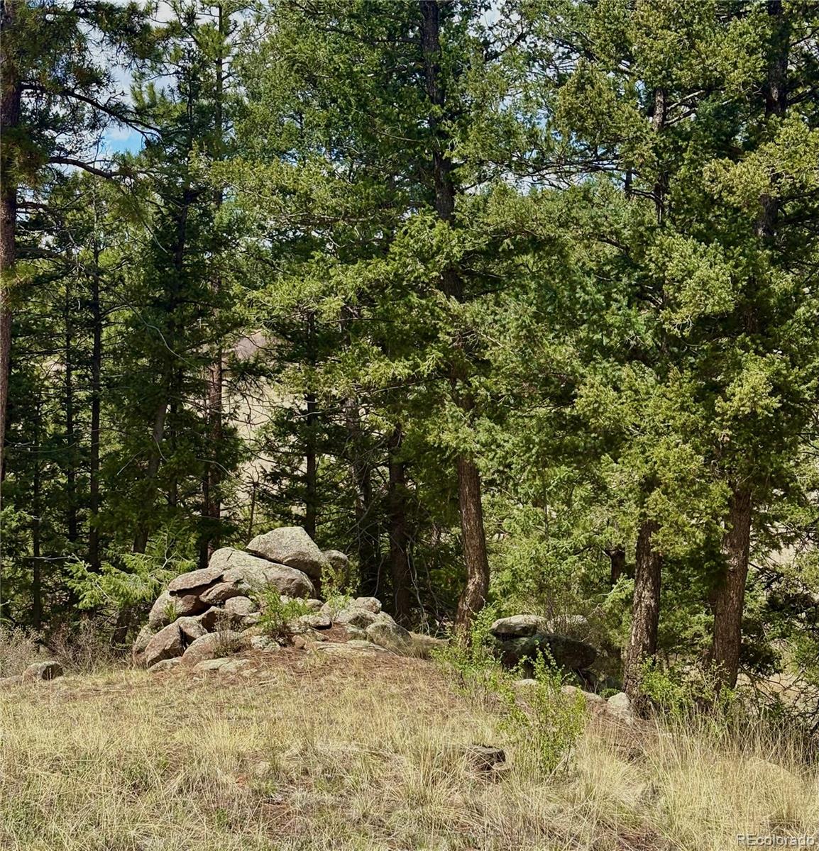 MLS Image #30 for 14  apache road,florissant, Colorado