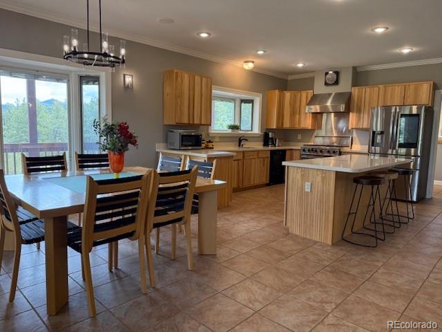 MLS Image #6 for 14  apache road,florissant, Colorado