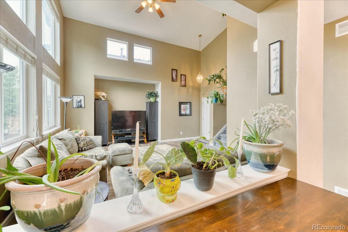 MLS Image #5 for 10191  sagecrest street,highlands ranch, Colorado