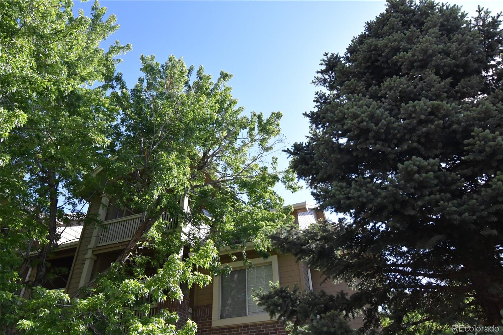 MLS Image #2 for 1631 w canal circle 832,littleton, Colorado
