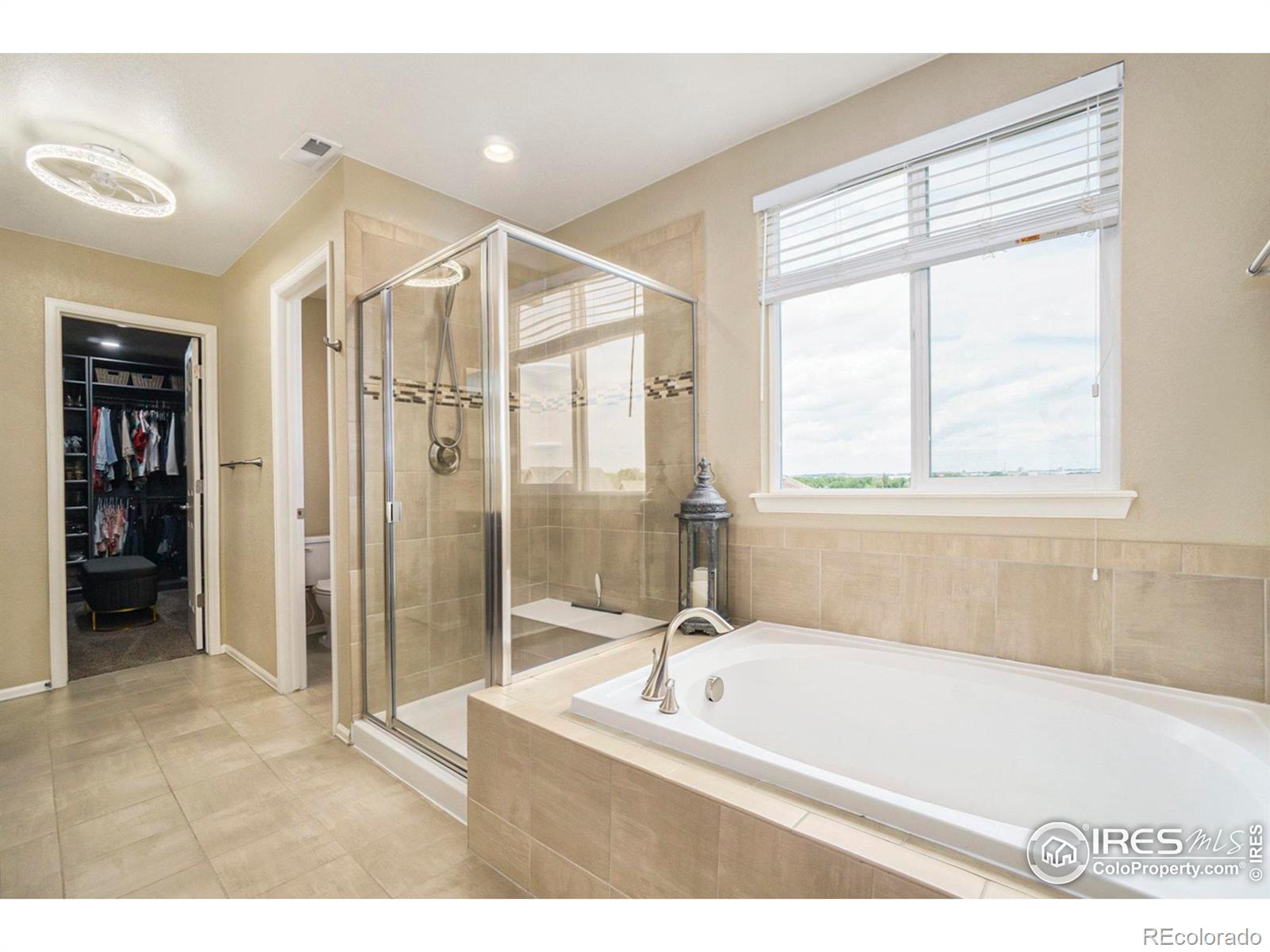 MLS Image #14 for 2163  longfin drive,windsor, Colorado