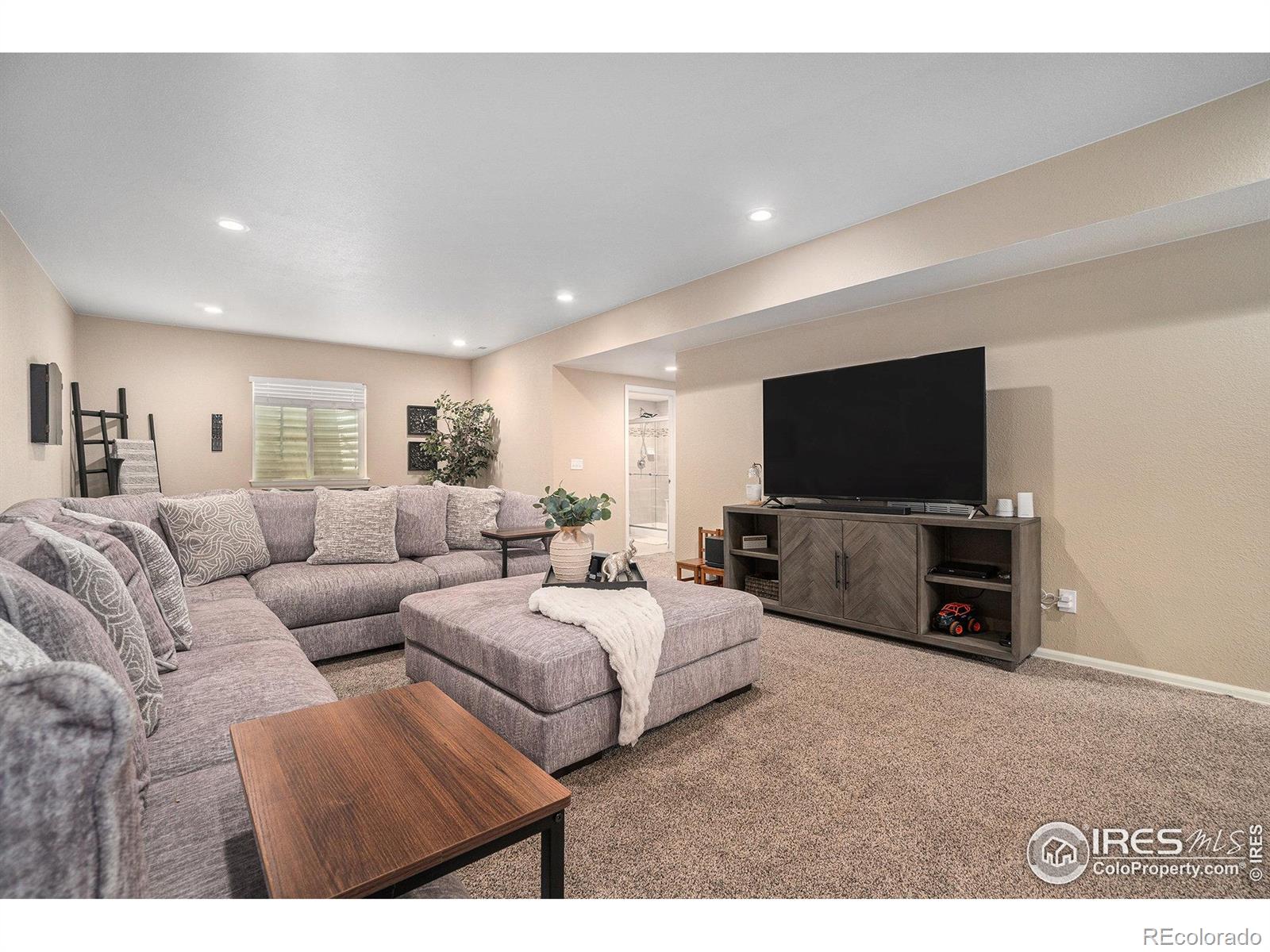 MLS Image #24 for 2163  longfin drive,windsor, Colorado
