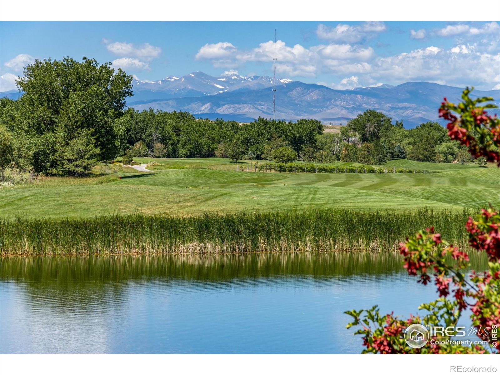 MLS Image #38 for 2163  longfin drive,windsor, Colorado