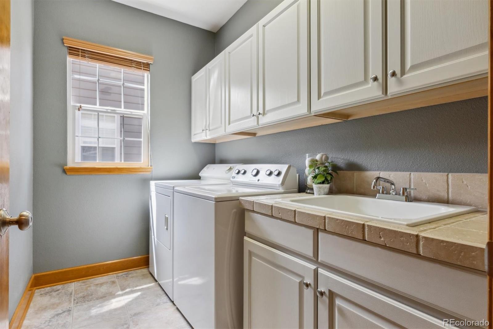 MLS Image #19 for 4247  thistlesage court,castle rock, Colorado