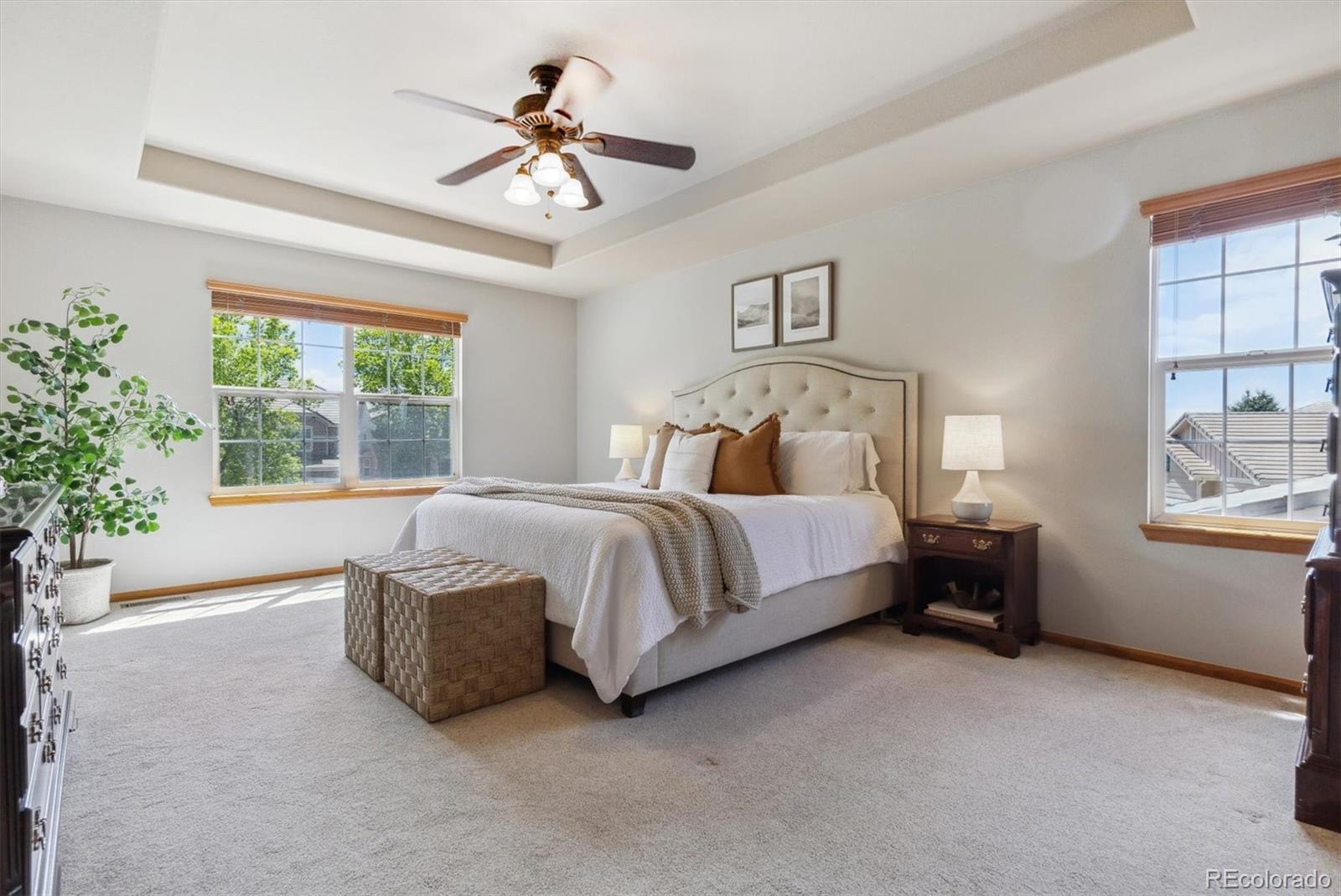 MLS Image #21 for 4247  thistlesage court,castle rock, Colorado
