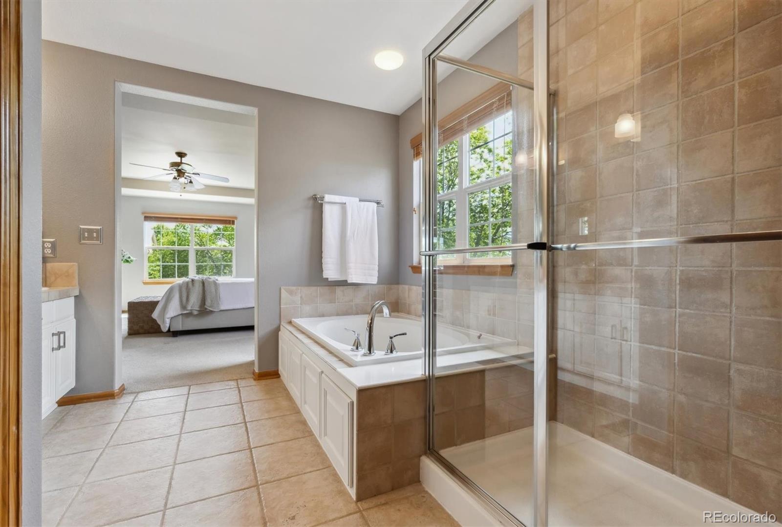 MLS Image #24 for 4247  thistlesage court,castle rock, Colorado