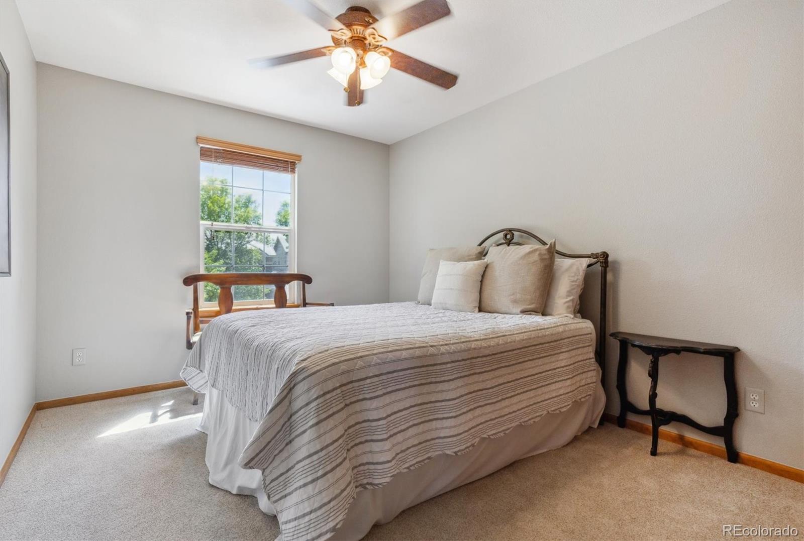 MLS Image #26 for 4247  thistlesage court,castle rock, Colorado