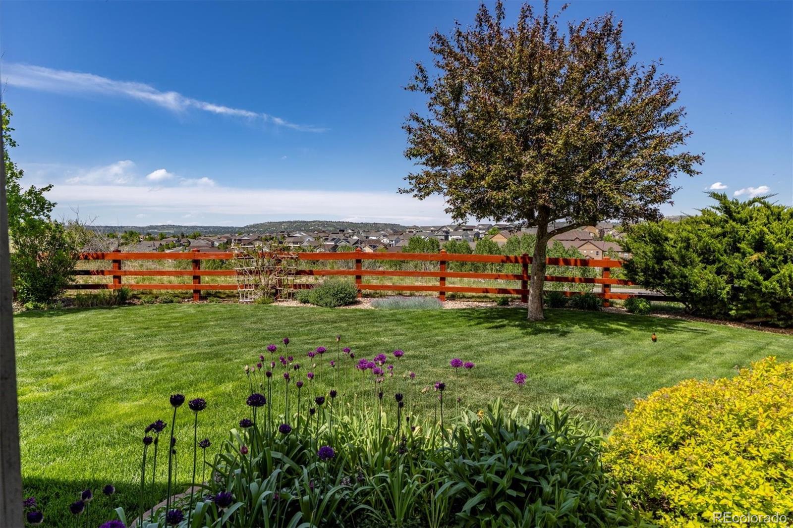 MLS Image #31 for 4247  thistlesage court,castle rock, Colorado