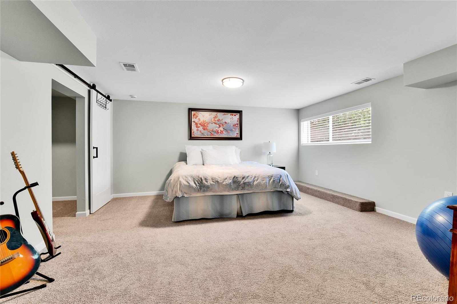 MLS Image #38 for 11209  quivas loop,westminster, Colorado