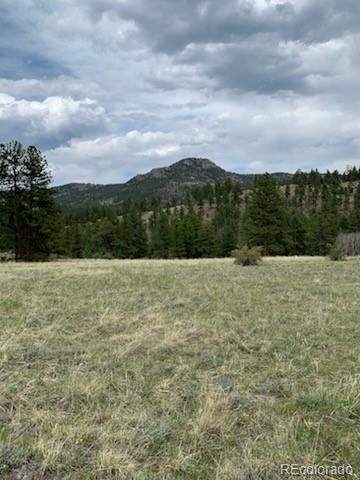 MLS Image #2 for 305  happy top trail,bailey, Colorado