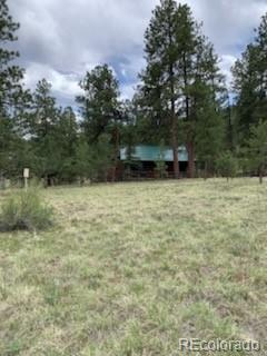 MLS Image #20 for 305  happy top trail,bailey, Colorado