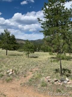 MLS Image #21 for 305  happy top trail,bailey, Colorado