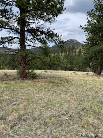 MLS Image #22 for 305  happy top trail,bailey, Colorado