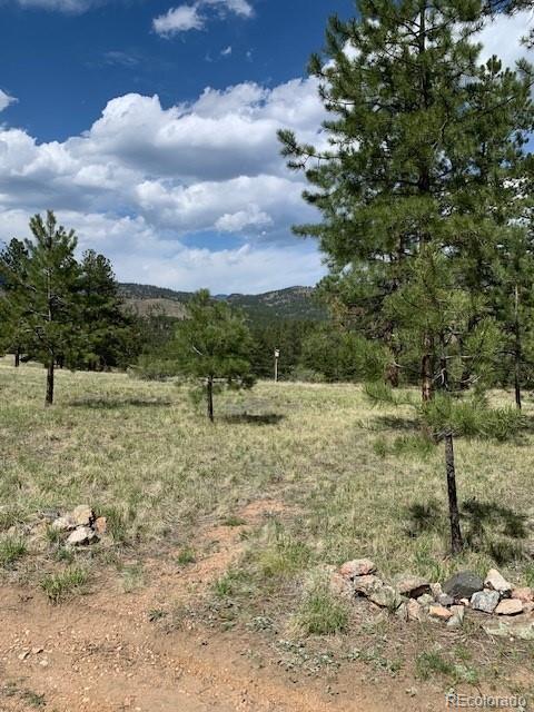 MLS Image #23 for 305  happy top trail,bailey, Colorado